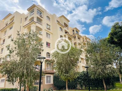 3 Bedroom Apartment for Sale in Madinaty, Cairo - WhatsApp Image 2026-01-10 at 2.56. 22 PM. jpeg