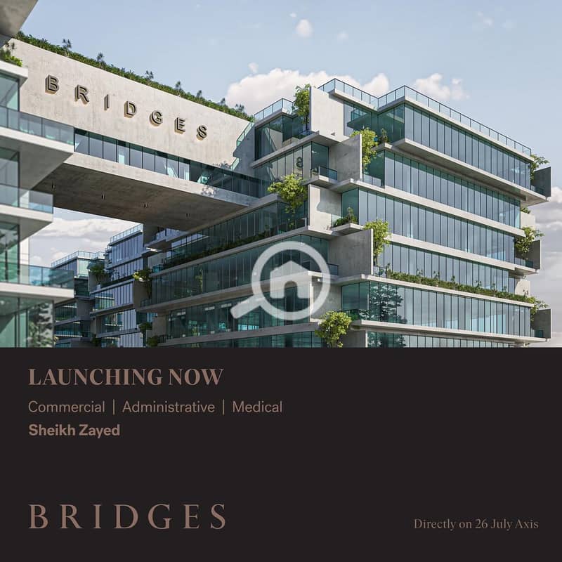 7 effffeaf-71dc-44e7-8472-1a0381bd65a2. jpg