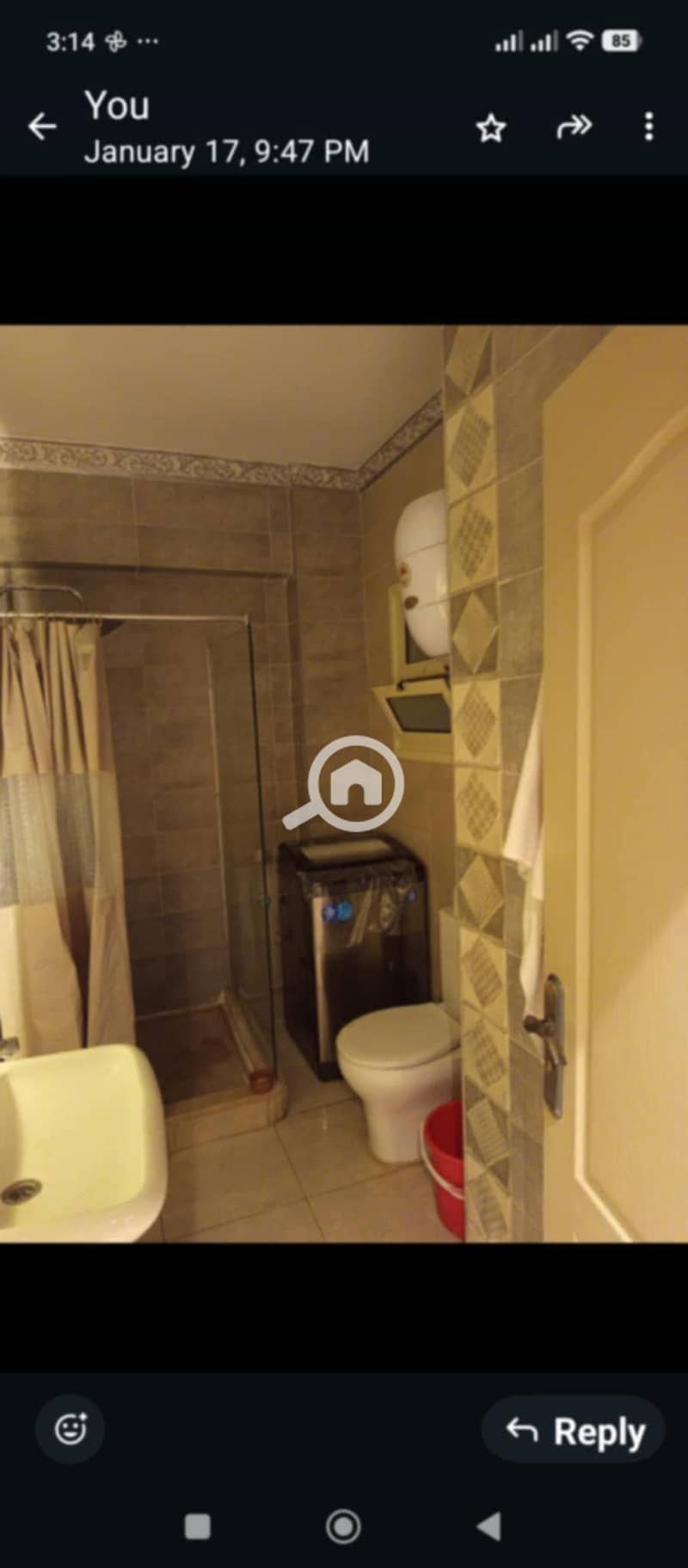 13 9d65b676-9472-4c14-ab89-b478f0ff4311. jpg