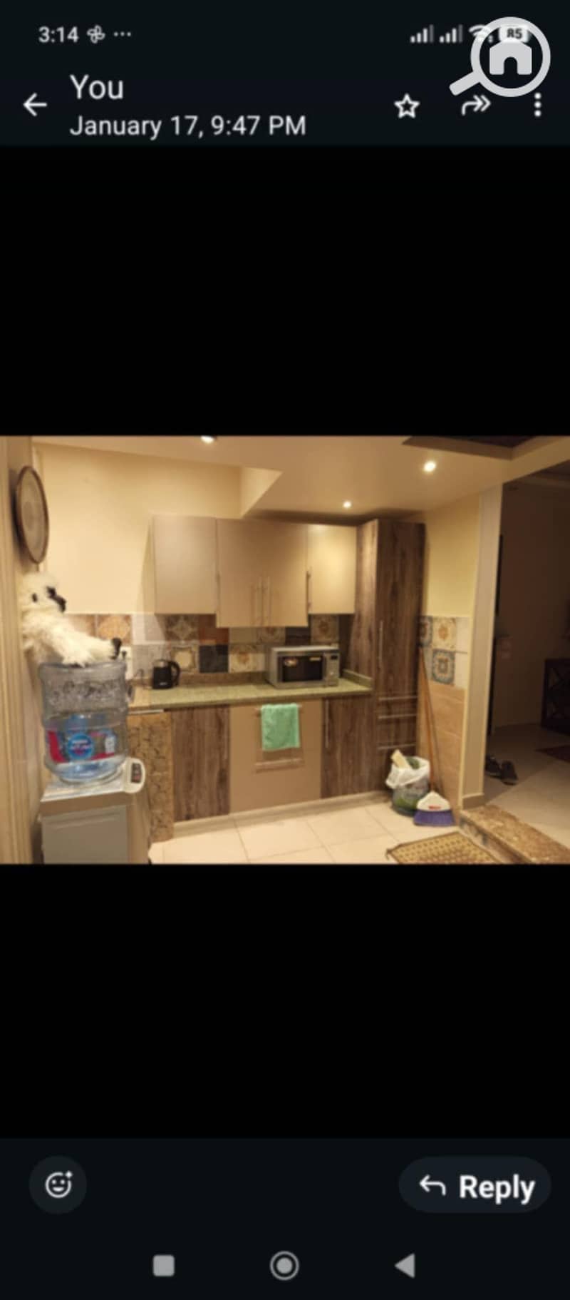 19 50999ec4-d41c-4e28-b94b-8dc45372c43d. jpg