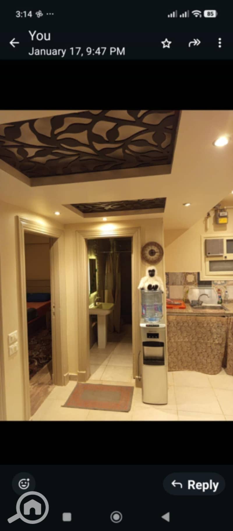 21 c965f799-f548-43a5-9853-fdbed634c331. jpg