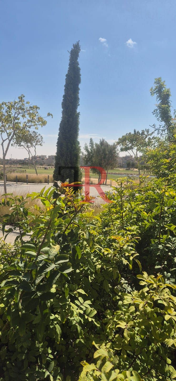 8 WhatsApp Image 2026-02-01 at 5.15. 47 PM (1). jpeg