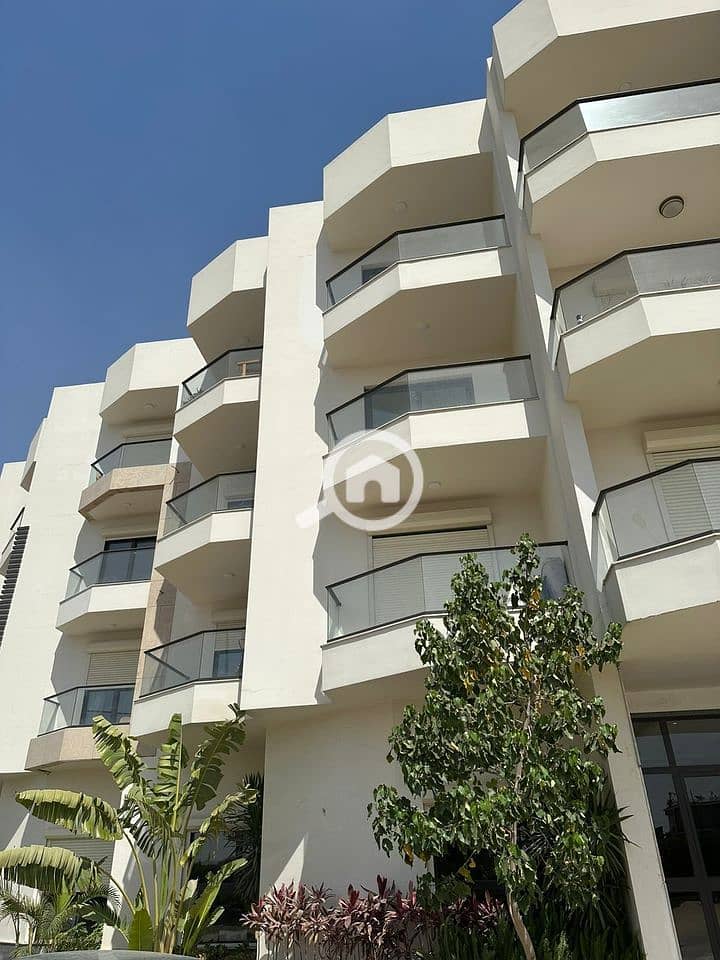 8 417d6180-c245-4987-9db2-564baa2464c9. jpeg