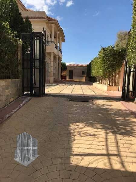 8 photo_6048340364512398654_x. jpg