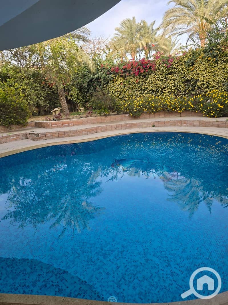 3 38849576-bcb4-47e8-99ea-8ea1eca2a127. jpg