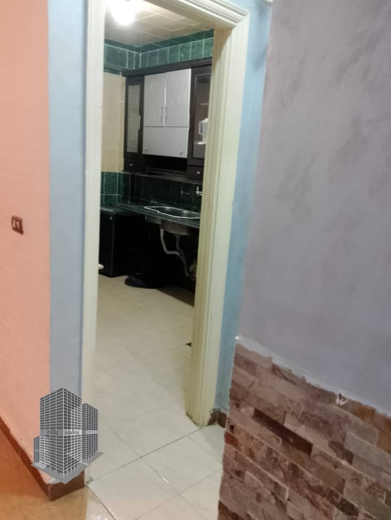 33 photo_2026-02-02_15-36-39. jpg