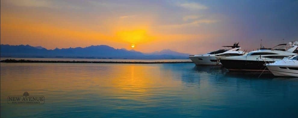 11 WhatsApp Image 2026-02-01 at 6.24. 12 PM. jpeg