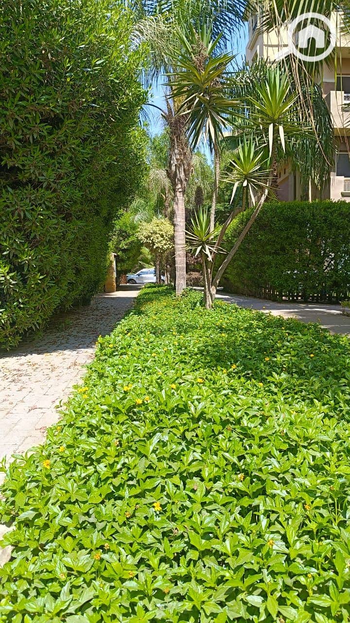 8 WhatsApp Image 2026-02-02 at 12.01. 46 PM (5). jpeg