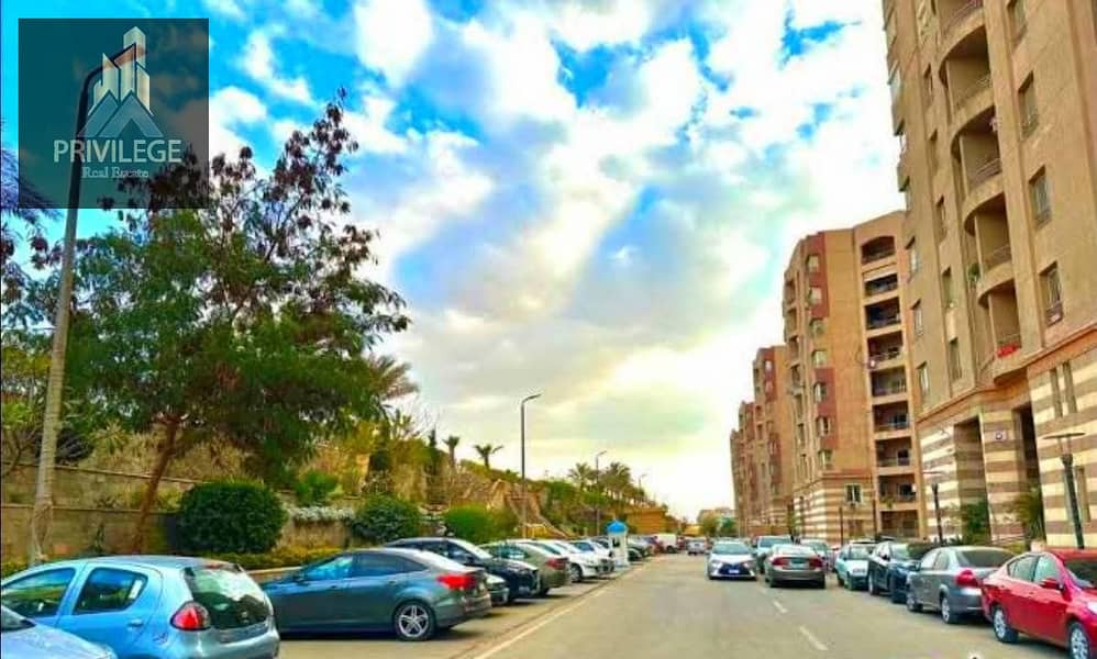 4 545764989_122165890766589015_3587334353903375768_n. jpg