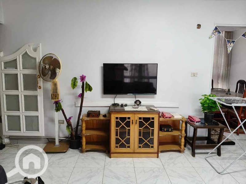 3 33c5c501-ed7d-49e3-ae91-b3c00b7530a5. jpg