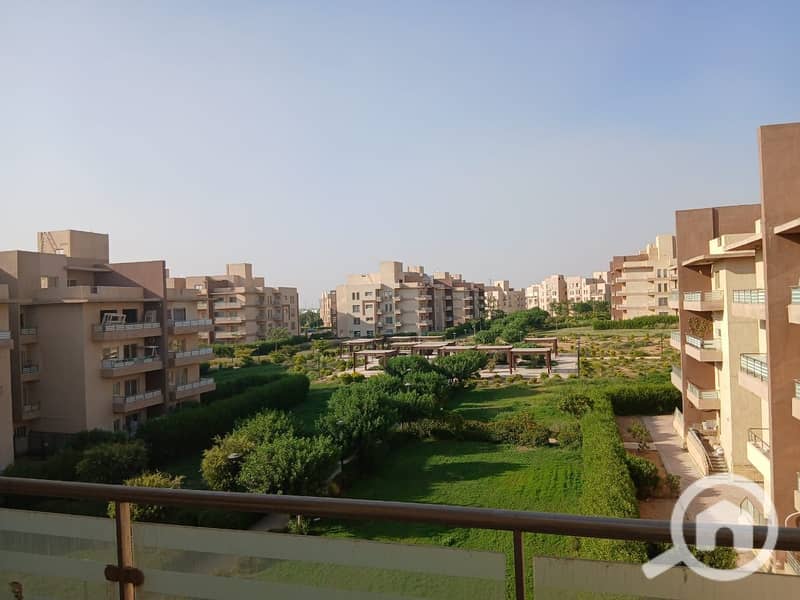 2 WhatsApp Image 2025-06-12 at 21.46. 43_d7d3ba23. jpg