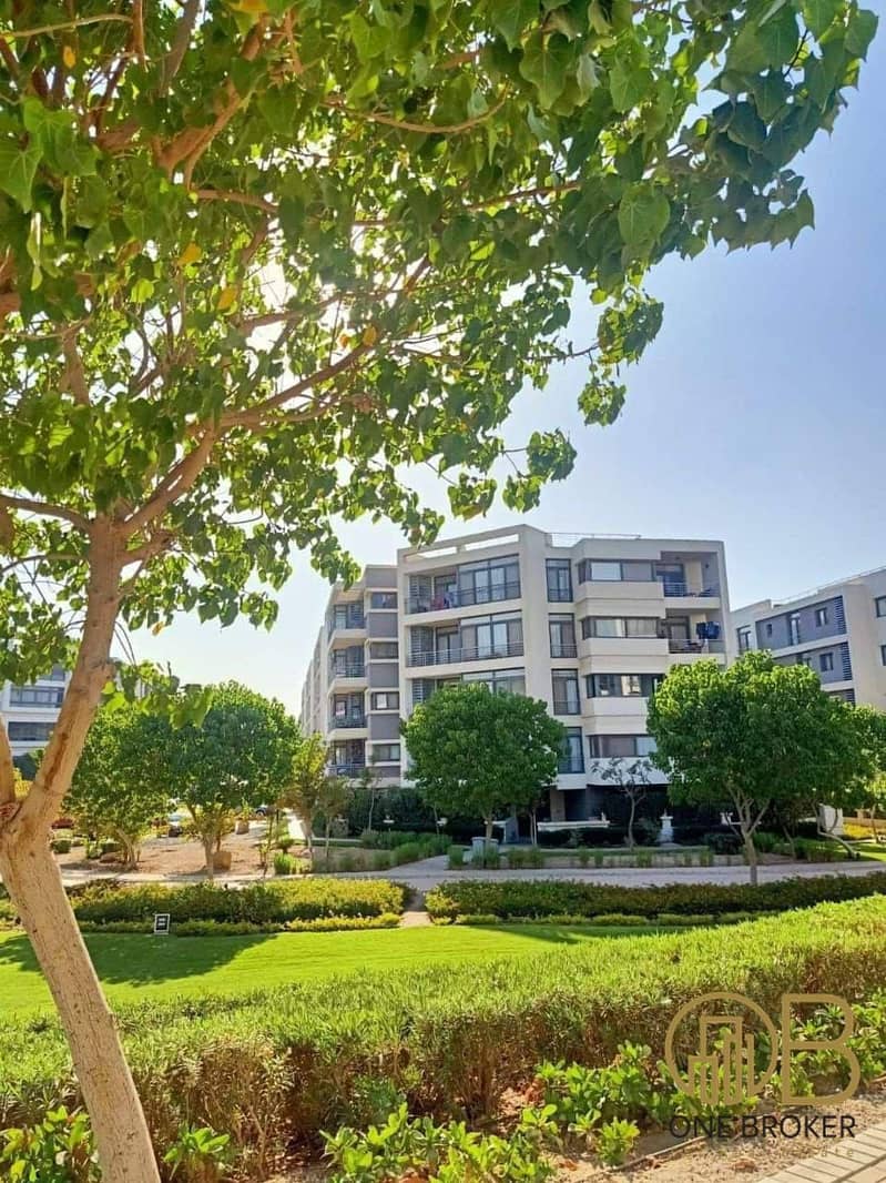 14 517369112_122196149408288470_2759036098538581354_n. jpg