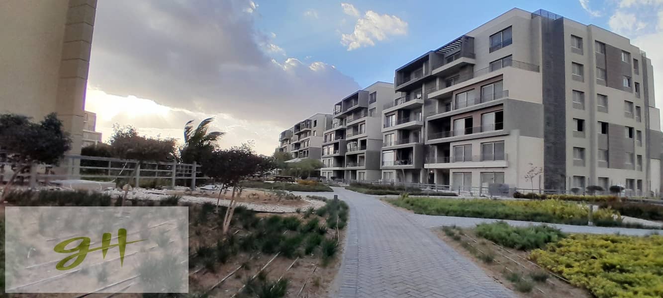 2 20260109_160046. jpg