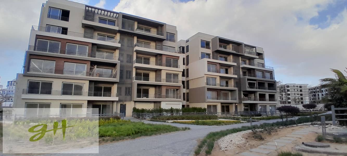 5 20260109_160004. jpg