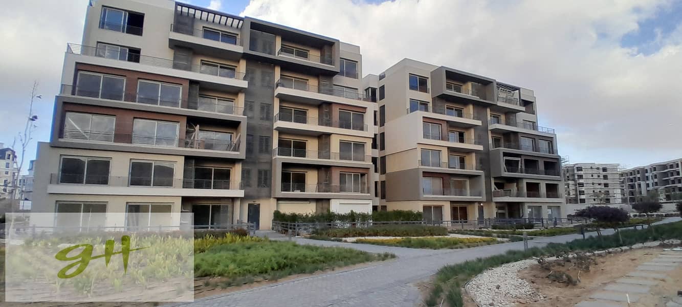 6 20260109_160005. jpg