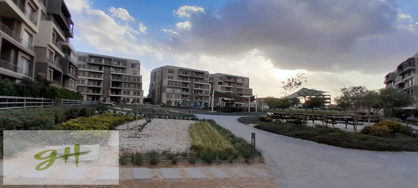 7 20260109_160014. jpg