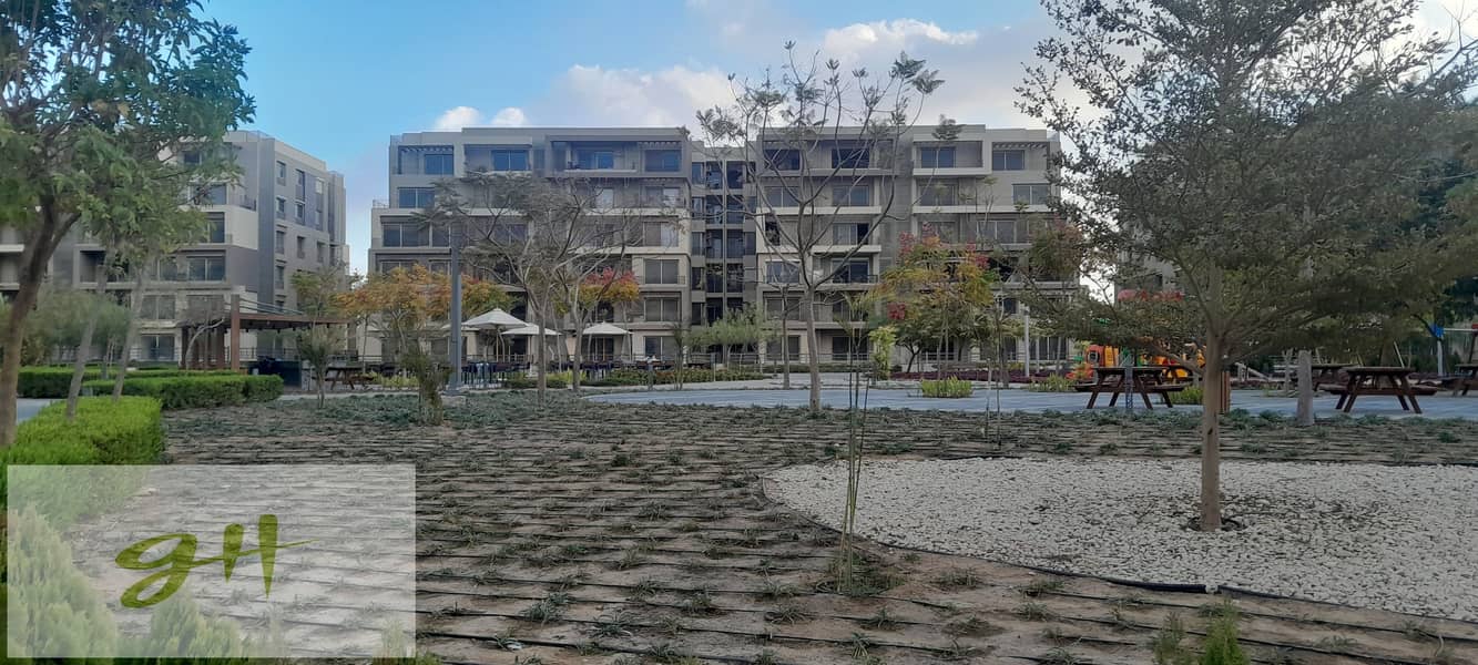 10 20260109_161944. jpg