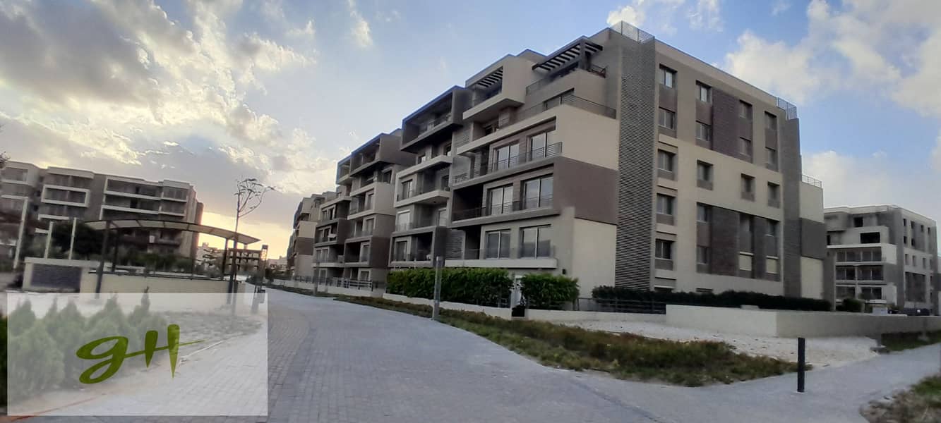 13 20260109_161929. jpg