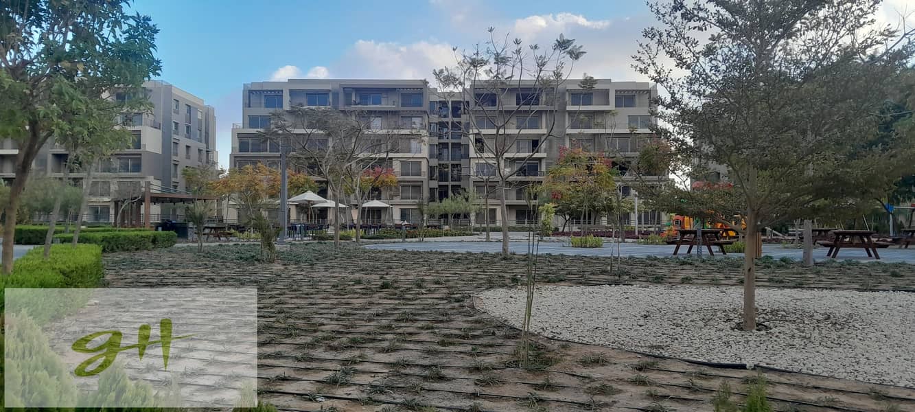 14 20260109_161942. jpg