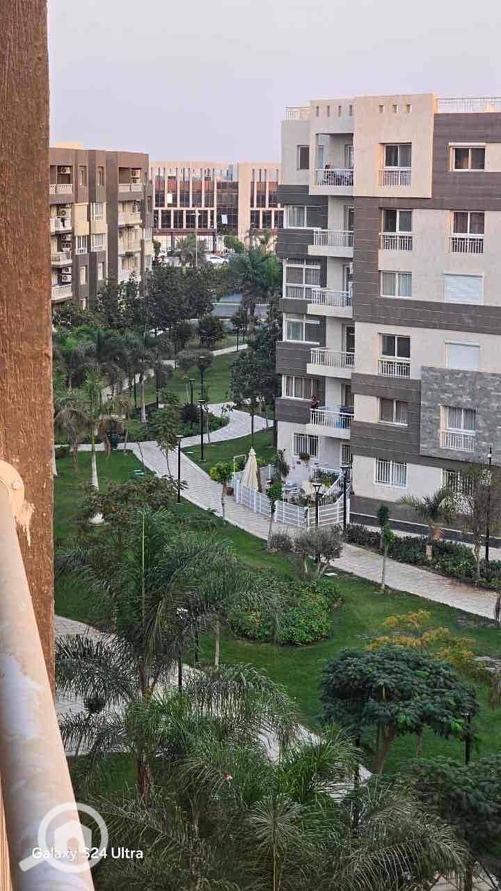 11 7e78e001-9759-4ac1-aeb2-07b9a428c9e1. jpg