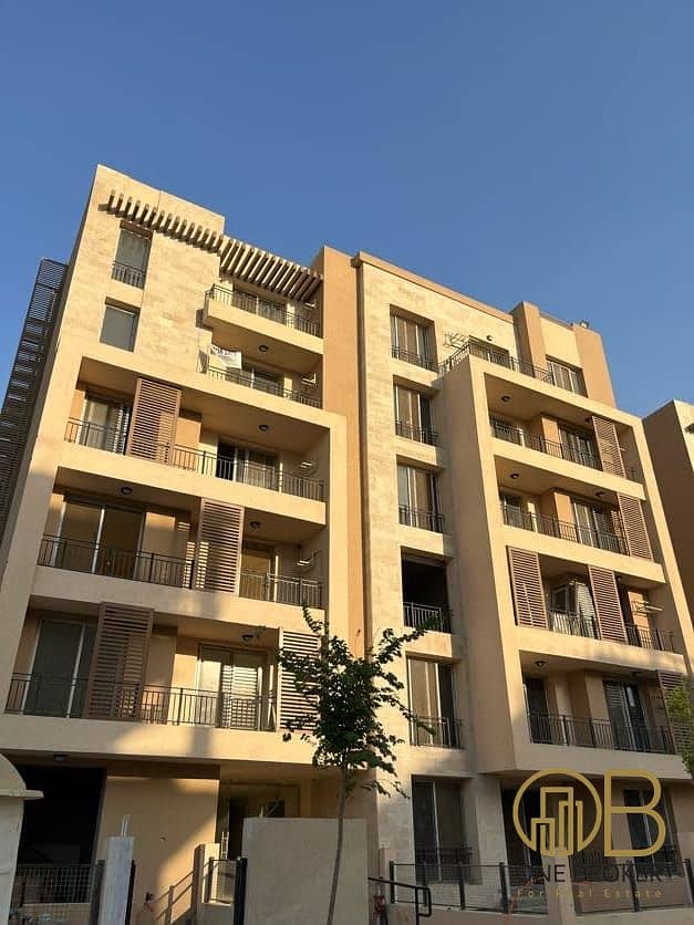 7 605282308_4506295613019165_970855749921206038_n. jpg