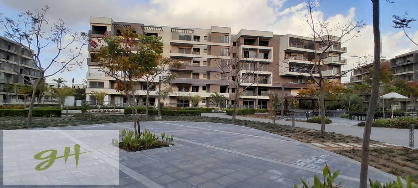 3 20260109_162240. jpg