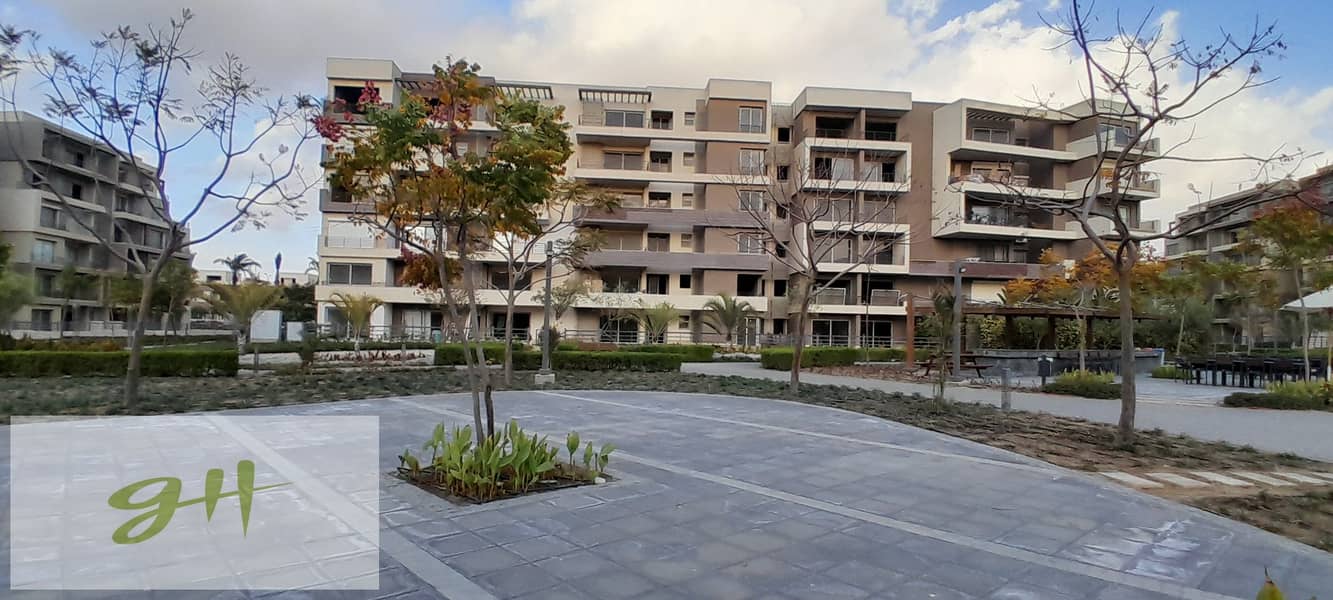 4 20260109_162242. jpg