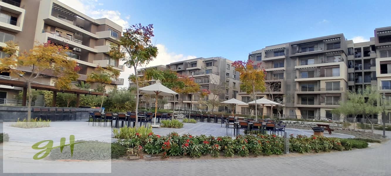 5 20260109_162258. jpg