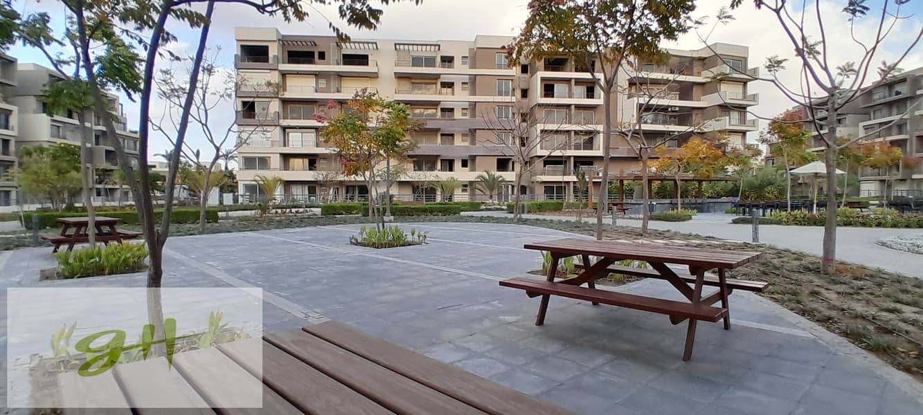 6 20260109_162225. jpg