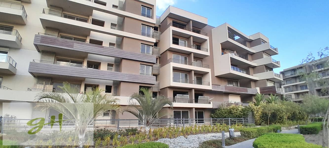 10 20260109_162410. jpg