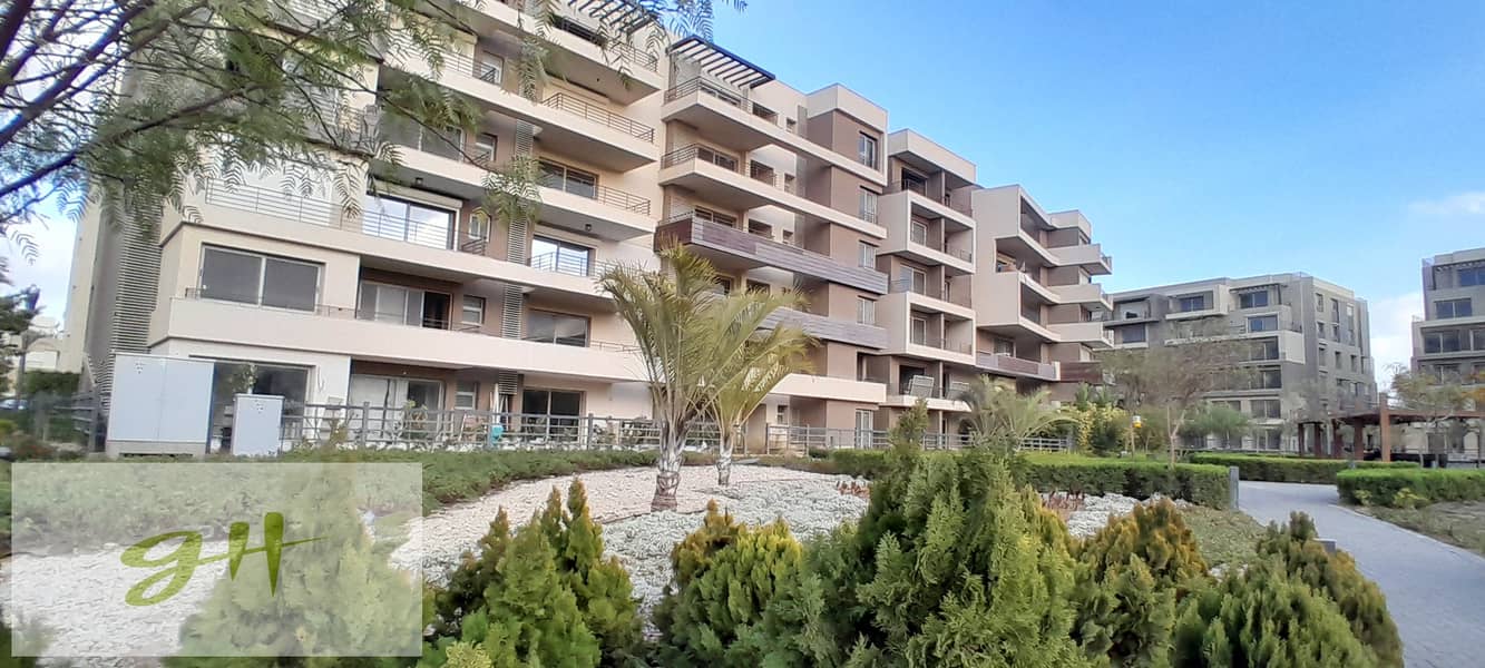 11 20260109_162443. jpg