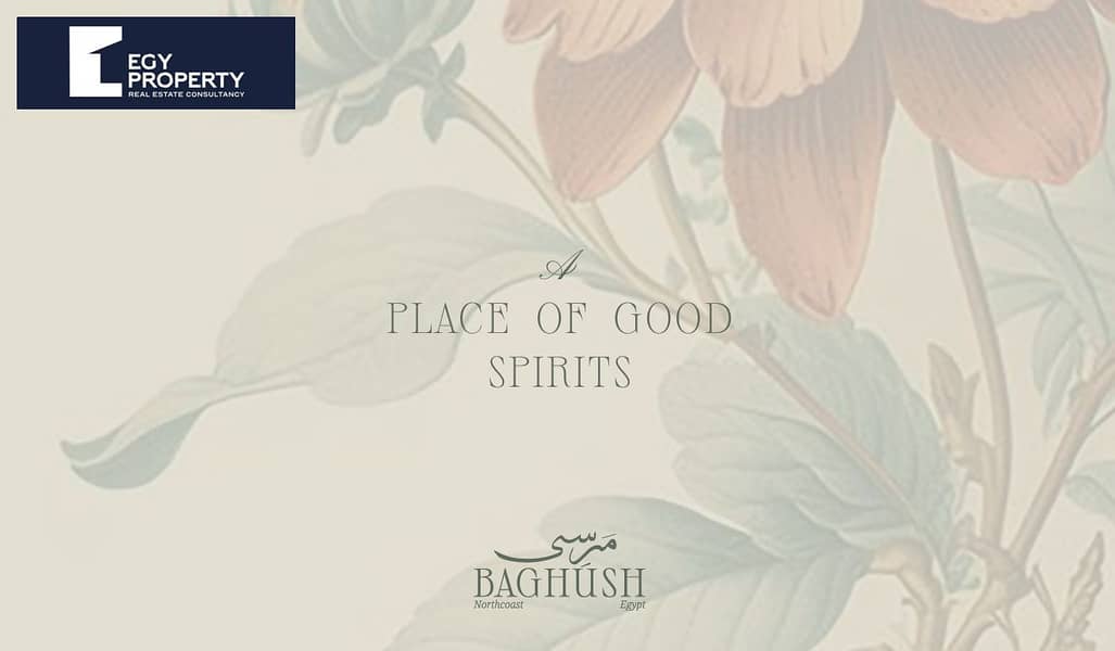 8 Screenshot (39). png