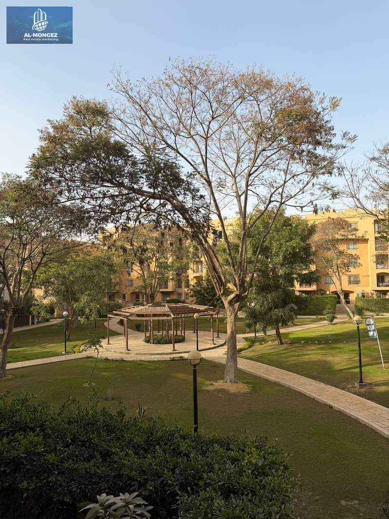 25 4117fcc8-66c8-49f5-abc4-36abfc16d901. jpg