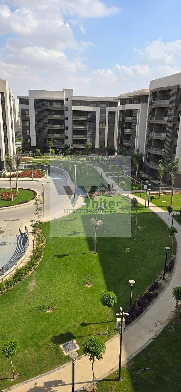 3 37508418-7307-48b8-a5a2-9bb11a8fce93. jpeg