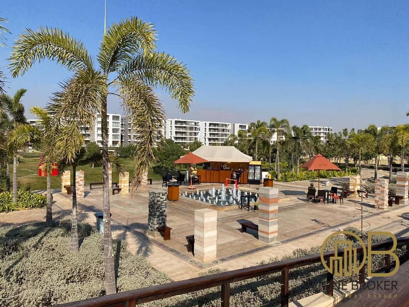 10 cilantro tag sultan 1. jpg