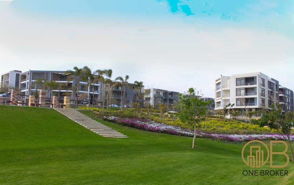 12 104474554_140096764348793_5920642674176014059_o. jpg