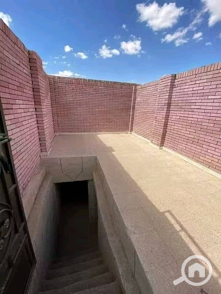 3 619328467_780158525108031_3429163657540594006_n. jpg