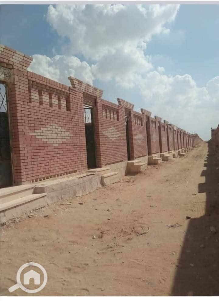 5 photo_4_2026-02-02_17-04-54. jpg