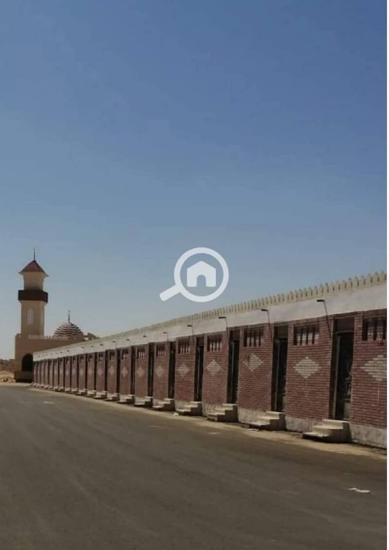 6 photo_2_2026-02-02_17-04-54. jpg