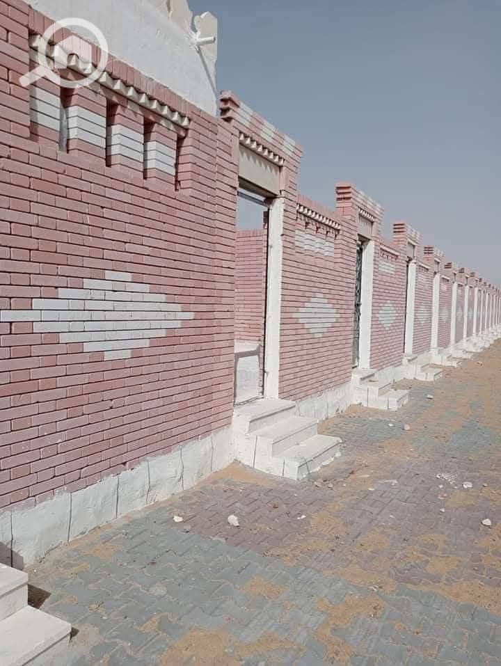 7 photo_3_2026-02-02_17-04-54. jpg