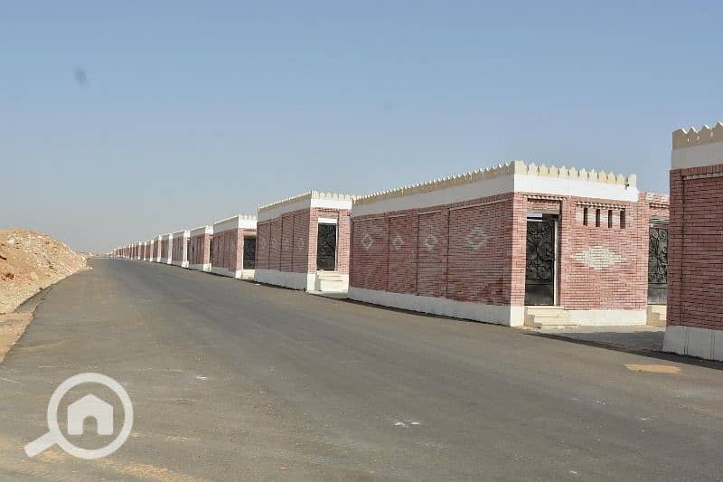 8 2023-638204449323318878-331. jpeg