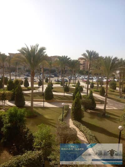 فلیٹ 2 غرفة نوم للايجار في القاهرة الجديدة، القاهرة - 6f8a48e7-99e1-415a-bb61-92a57c7d77ec. jpg