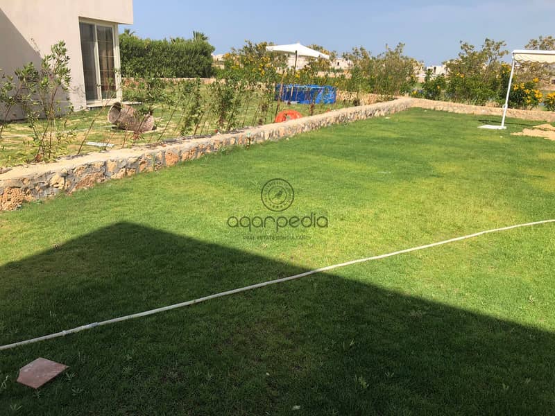 3 WhatsApp Image 2026-02-02 at 1.52. 22 PM. jpeg