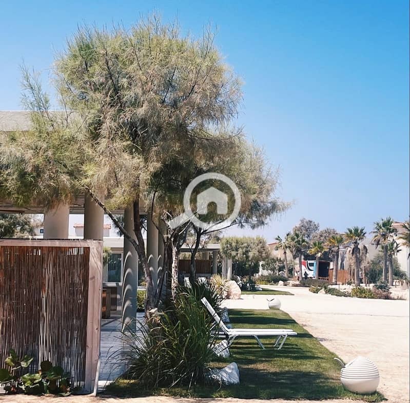 2 WhatsApp Image 2026-02-02 at 4.13. 53 PM. jpeg