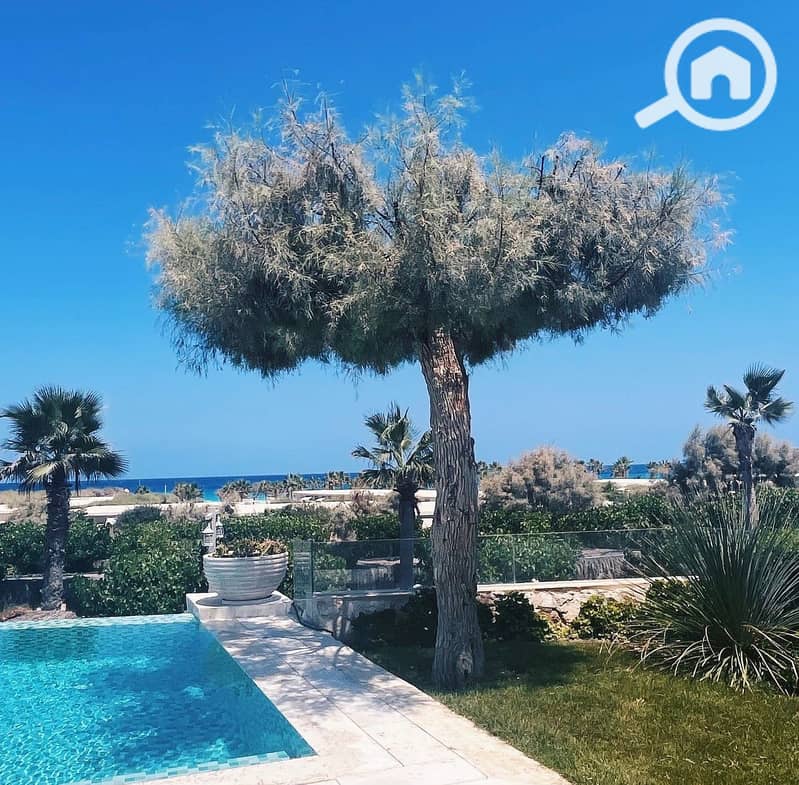 3 WhatsApp Image 2026-02-02 at 4.13. 54 PM. jpeg