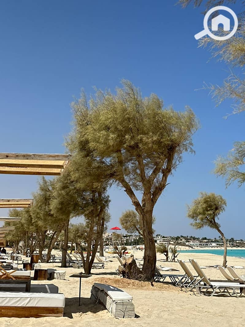 12 WhatsApp Image 2025-04-21 at 12.37. 03 PM. jpeg