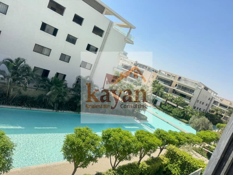 8 c4e0a9e4-9851-4e0c-94bf-dd79c52bbf7d. jpg