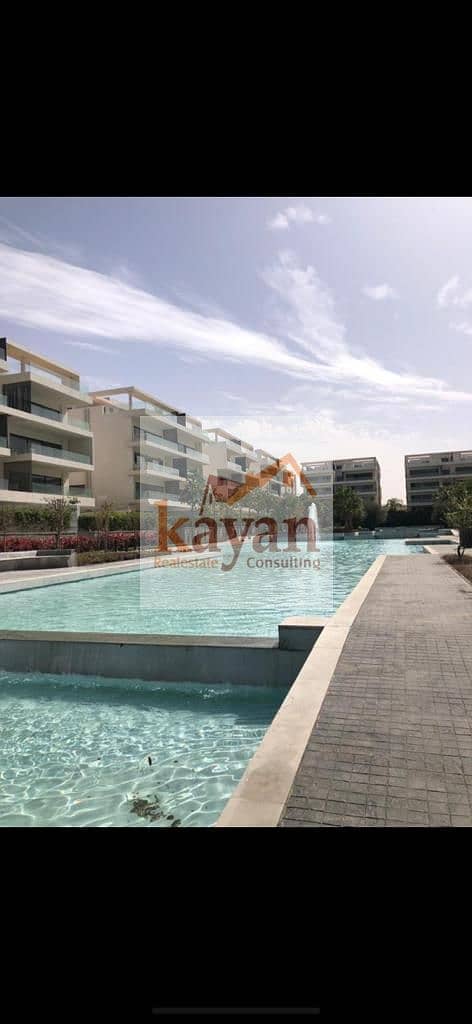 9 d6e57369-f33e-4d9f-b531-1576a418d7c3. jpg