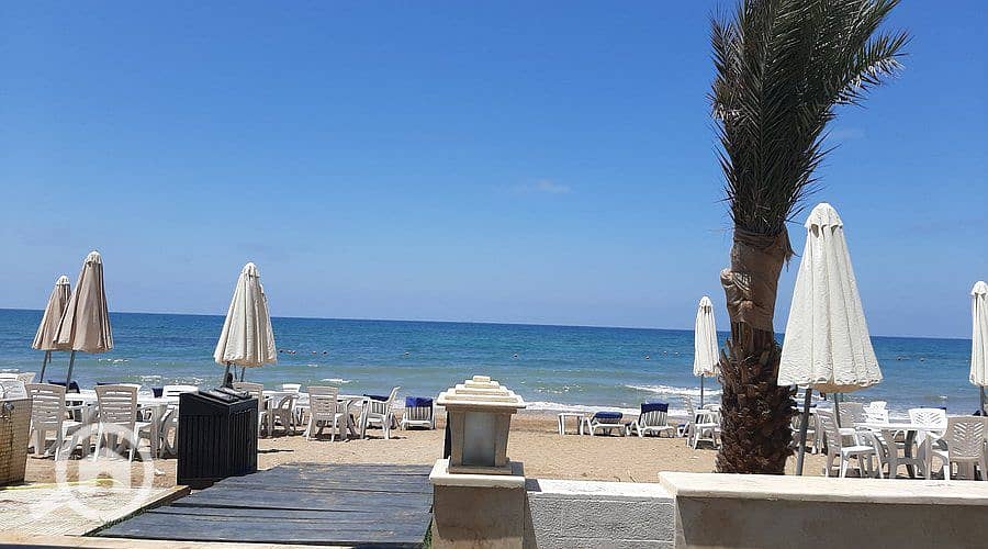 4 WhatsApp Image 2026-02-02 at 5.13. 50 PM. jpeg