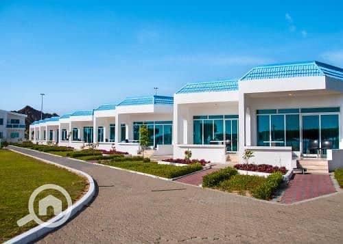 9 WhatsApp Image 2026-02-02 at 5.14. 48 PM. jpeg